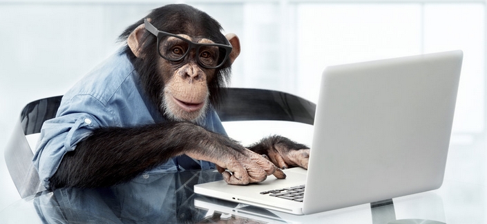 scimmia alla tastiera